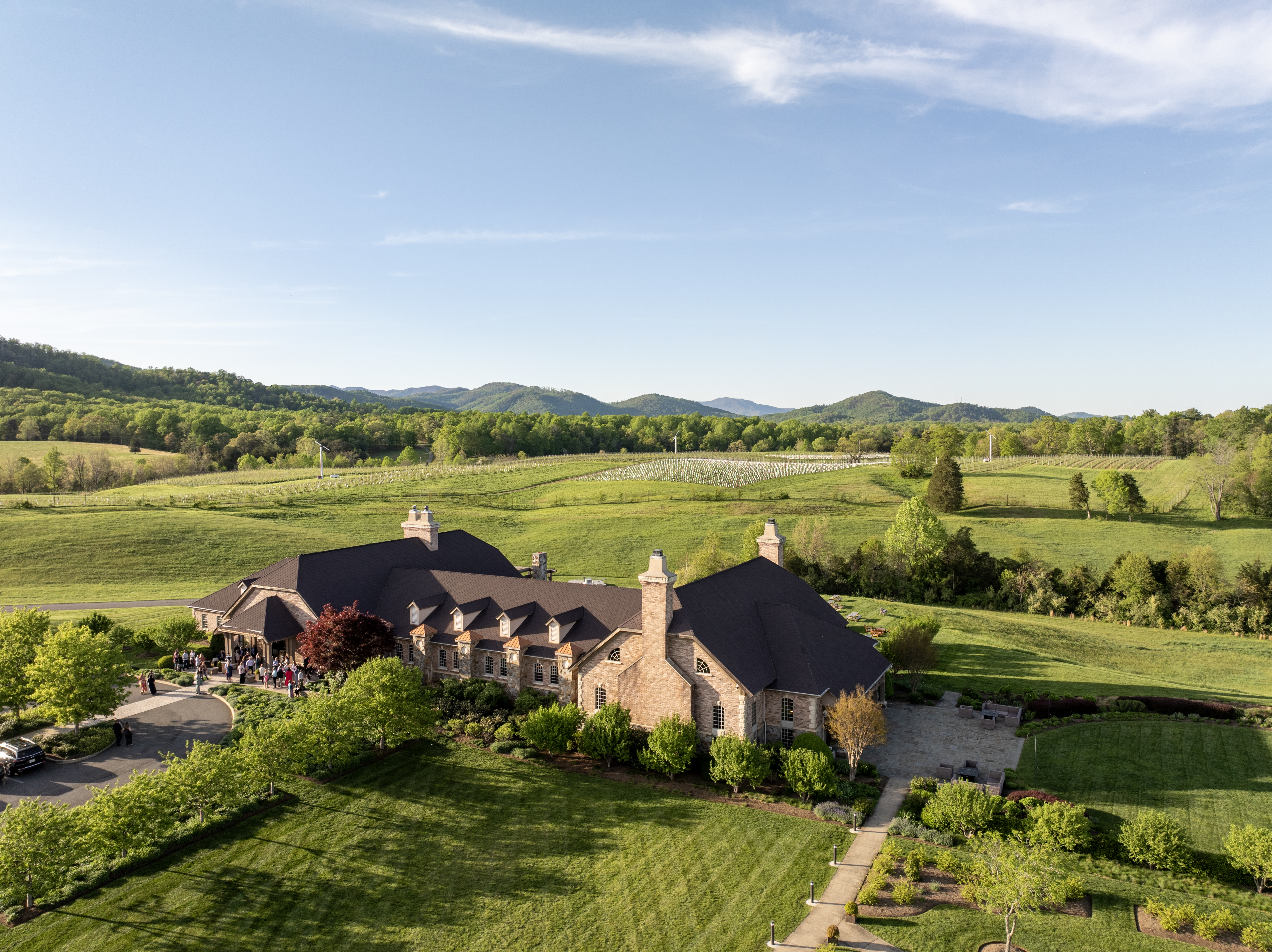 Harvest at Early Mountain Vineyards