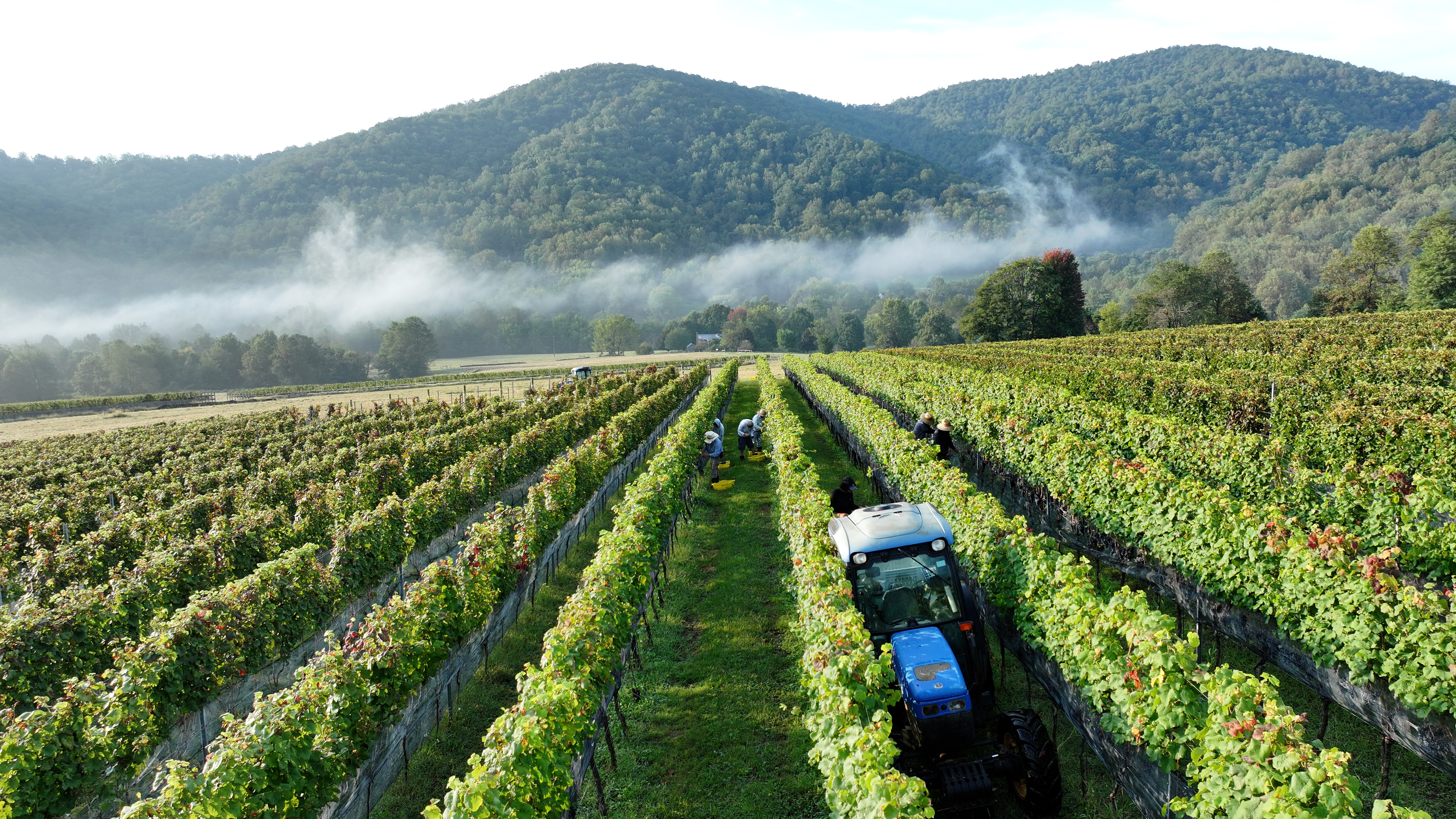 Wine Writer Fellowship